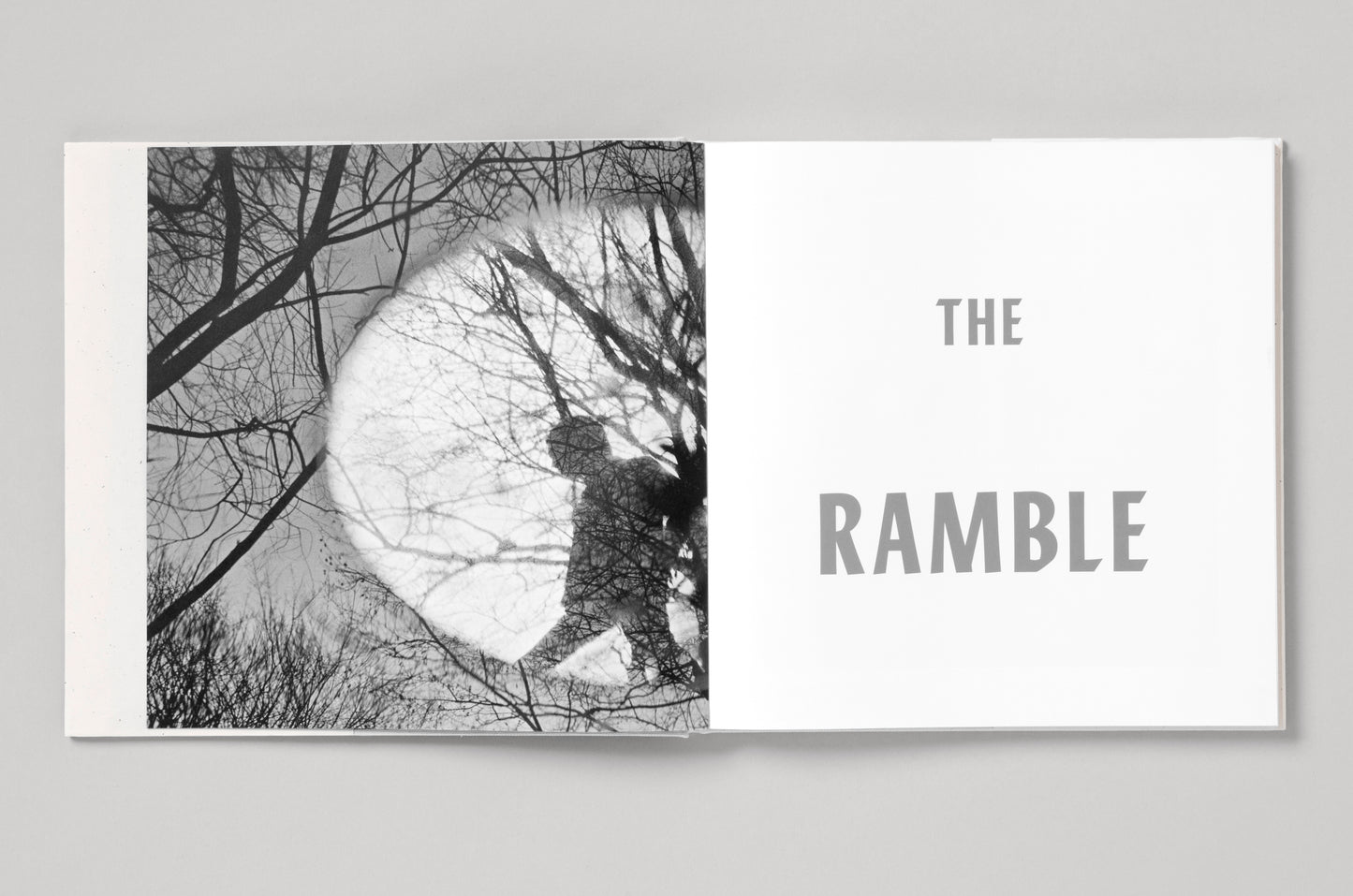 The Ramble, NYC 1969