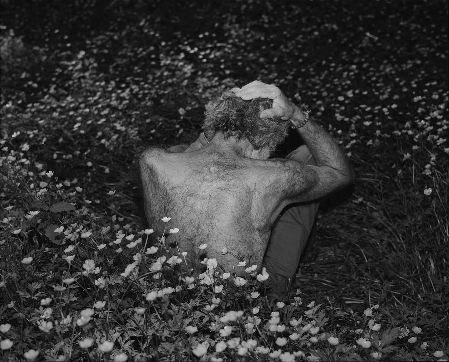 At Night Gardens Grow