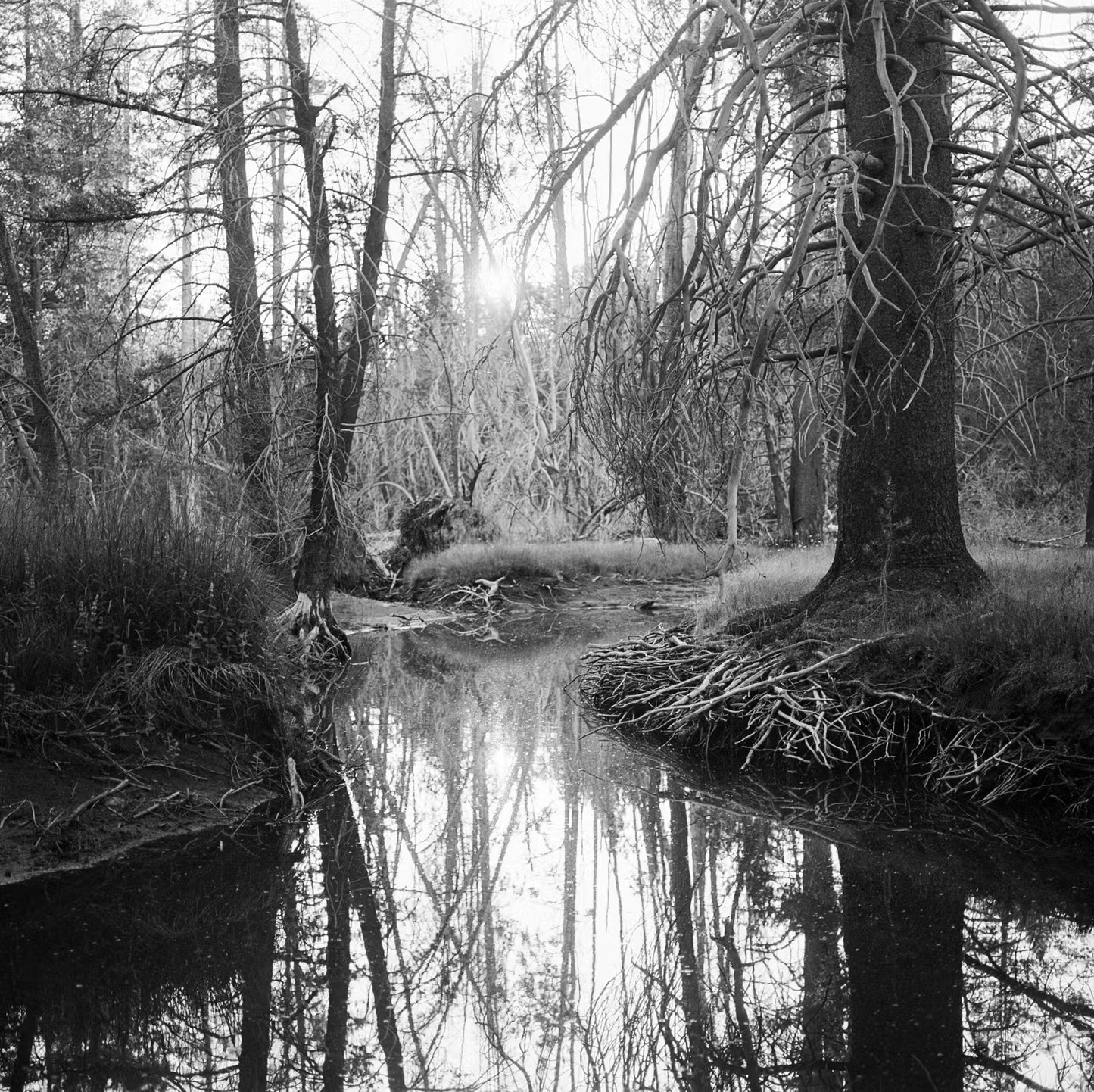 Megalith-Still