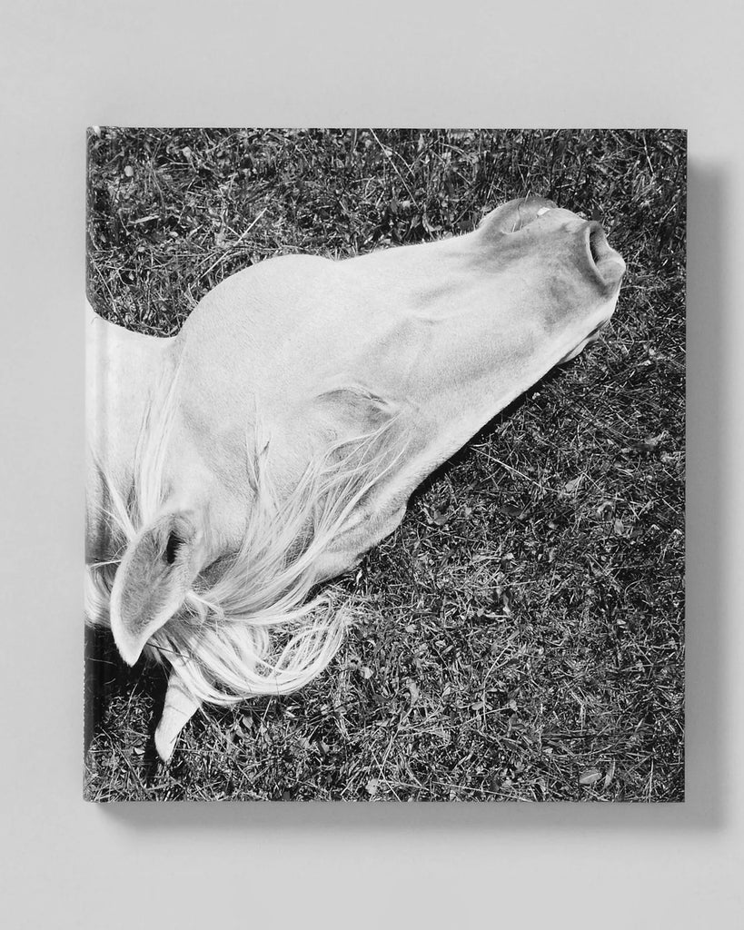 Megalith-Still