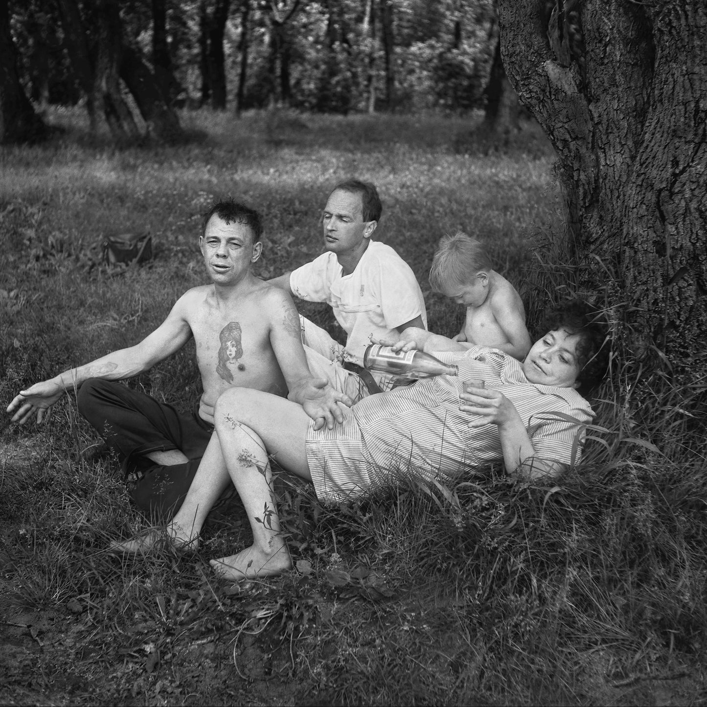 Cheryomushki