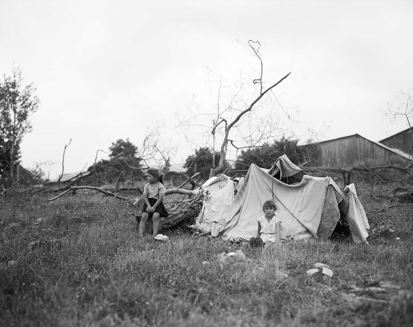 From Where They Came