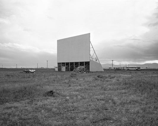 In the Gold Dust Rush