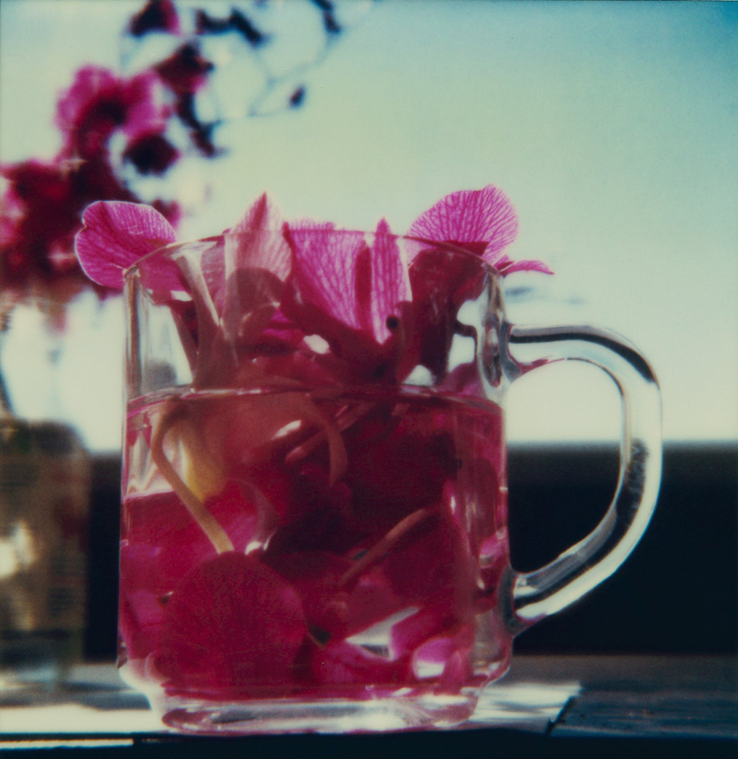 L.A. Polaroids