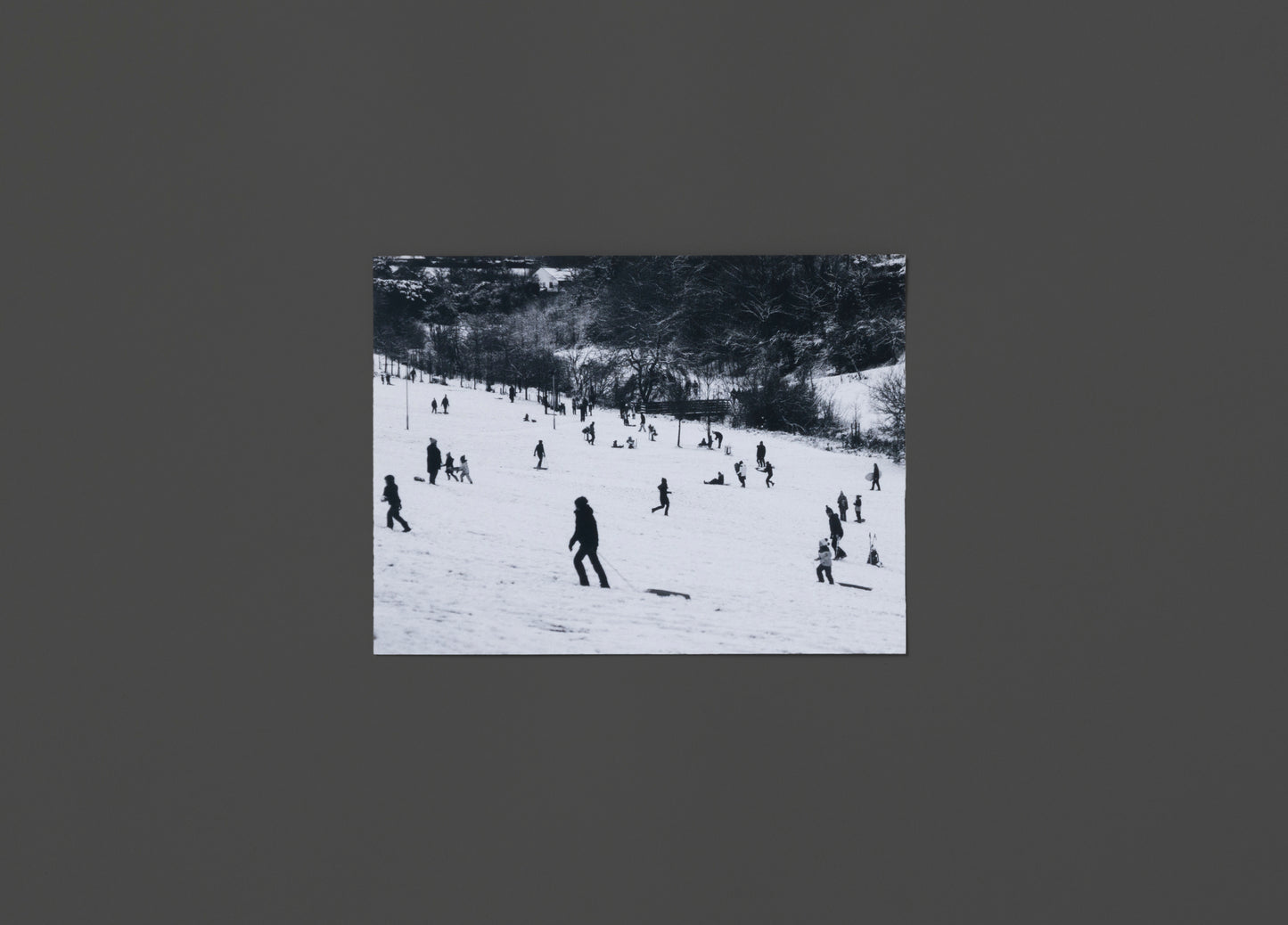 Northern Diary