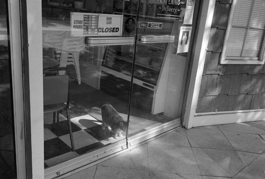 Fifteen Miles to K-Ville