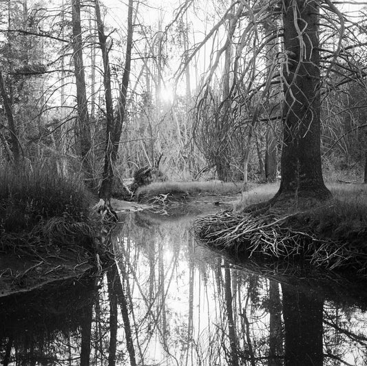 Megalith-Still
