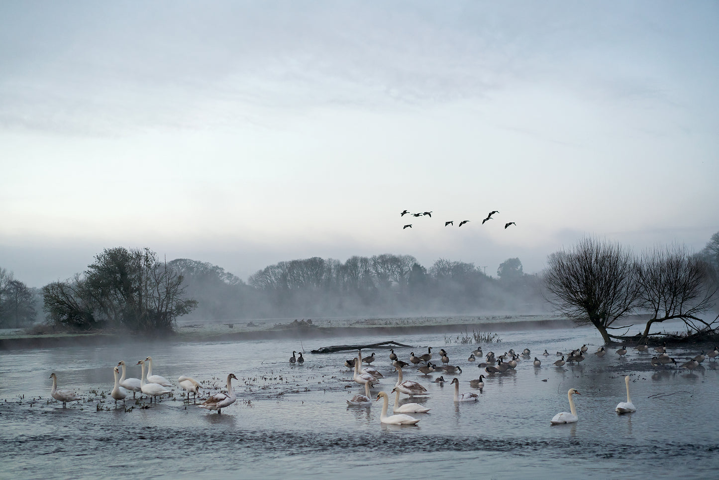Four Winters