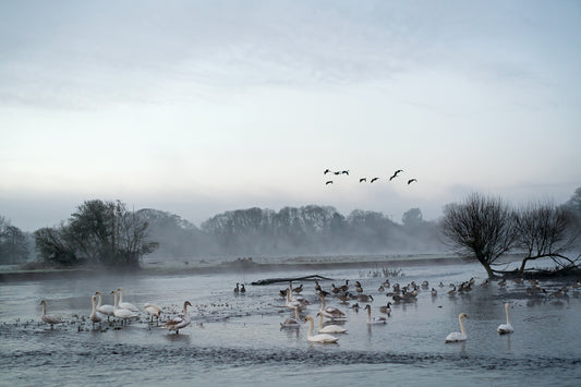 Four Winters
