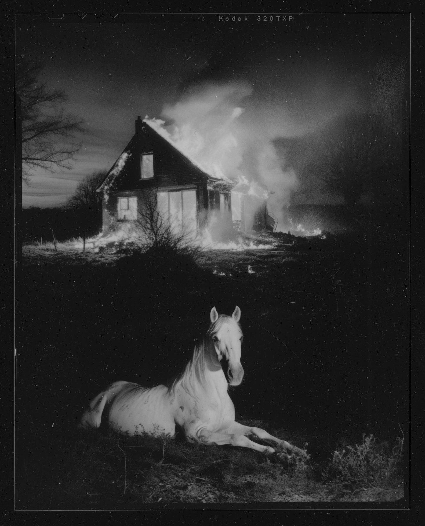 Women Prisoner Polaroids