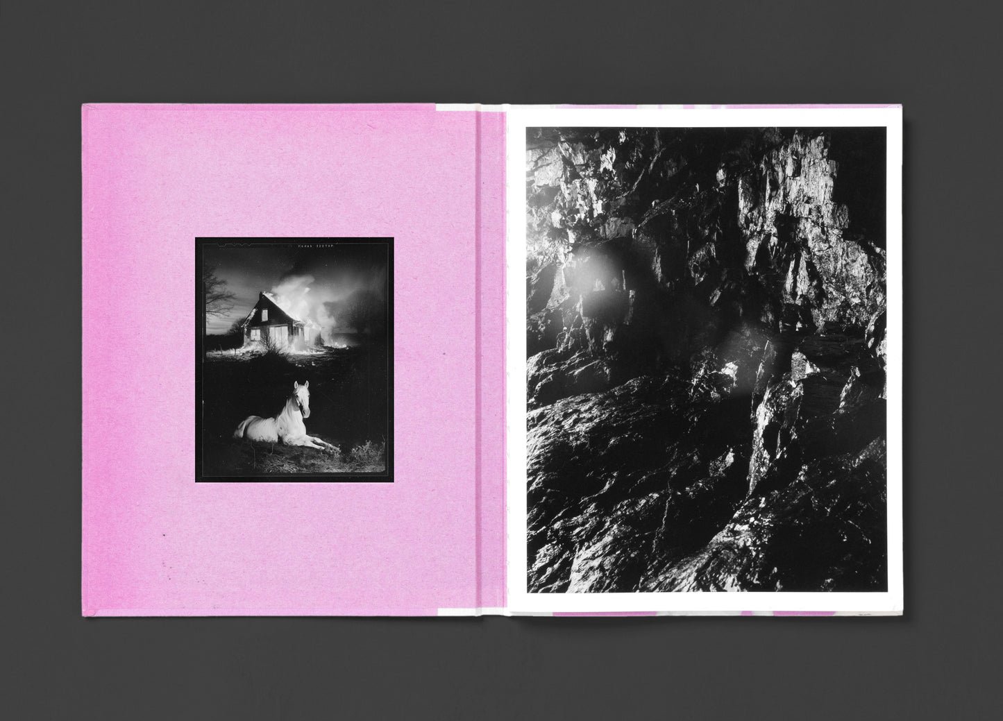 Flowers Drink the River