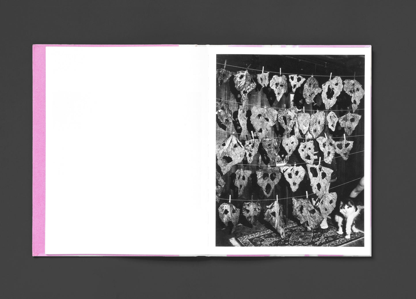 Flowers Drink the River