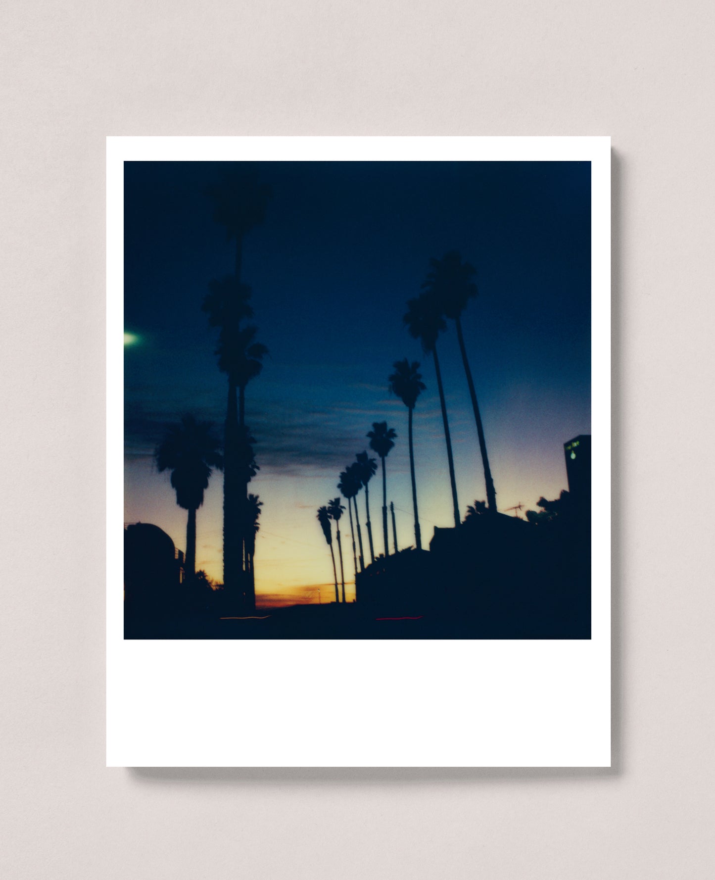 Sunset Palms