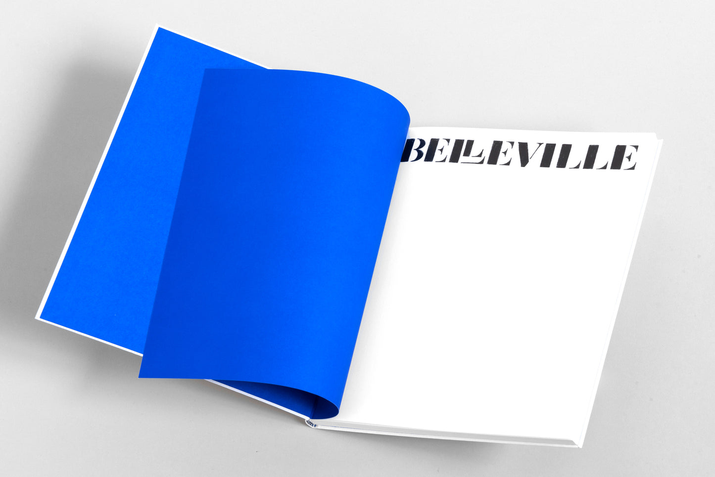Belleville Artist Ed.